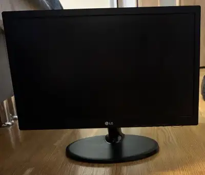 19” LCD monitor LG