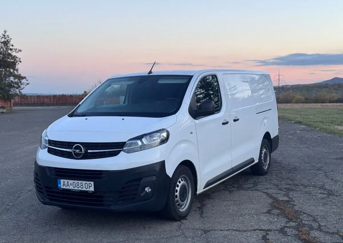 Opel Vivaro – 2020, 260 282 km