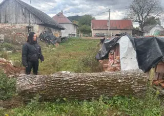 Orechové drevo