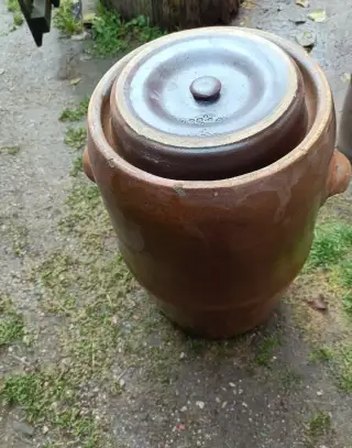 Súdok na kapustu