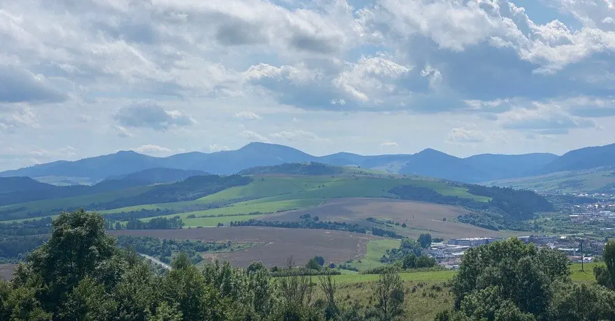 OREZ STROMOV | VÝRUB STROMOV | Košice, Košice okolie