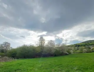 Pozemok záhradu - vinicu