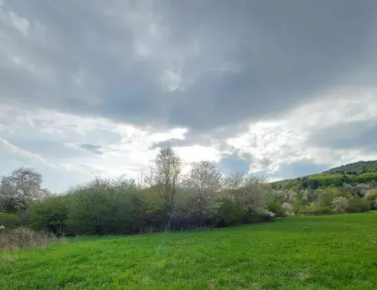 Pozemok záhradu - vinicu