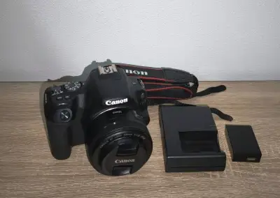 Canon EOS 200D + Canon EF 50mm f/1,8 STM