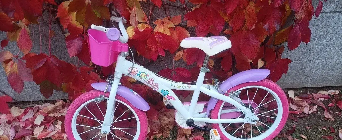Dino Bikes Barbie 16"