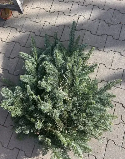 Neopadavá čečina
