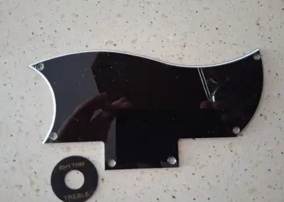 Pickguard SG