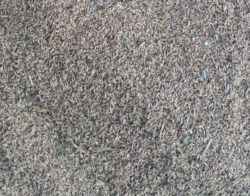 Ovos nahy bio