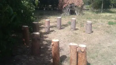 klát z borovice