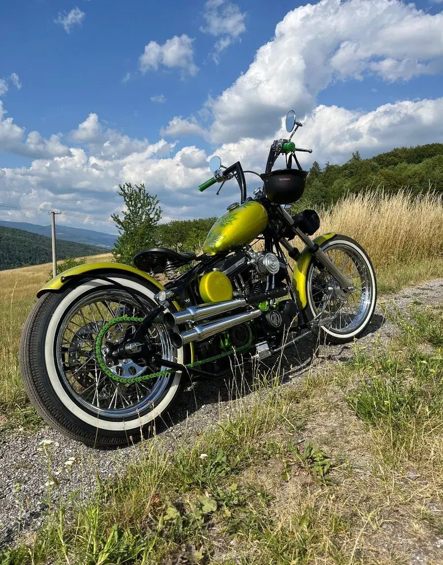 Bobber Harley Davidson 1200 XL