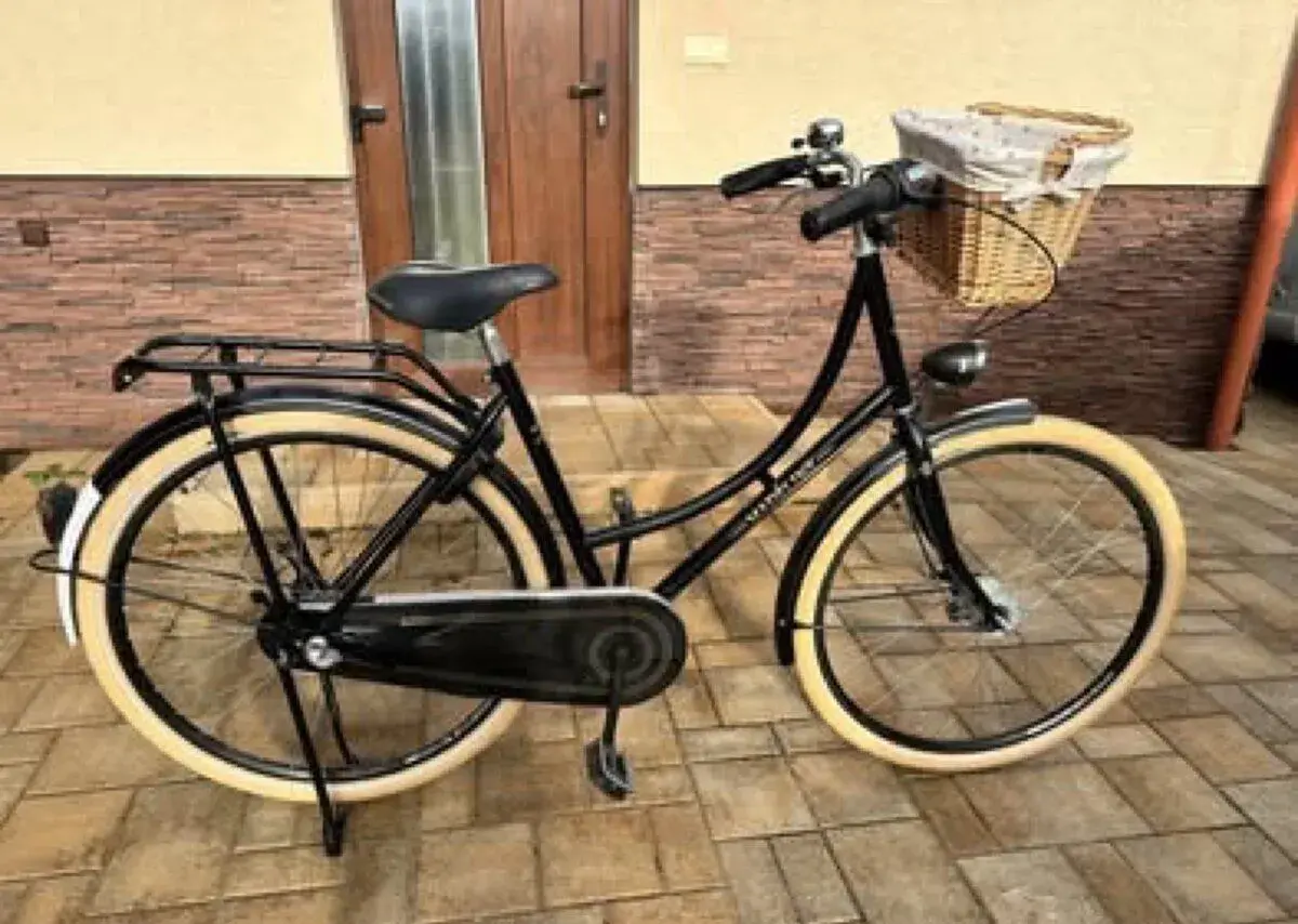 Bicykel Dema Madeline De Luxe