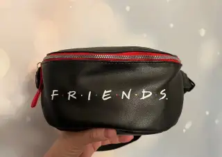 Ladvinka Friends