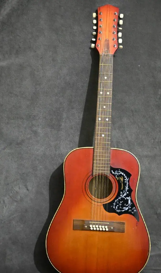 12 strunná gitara