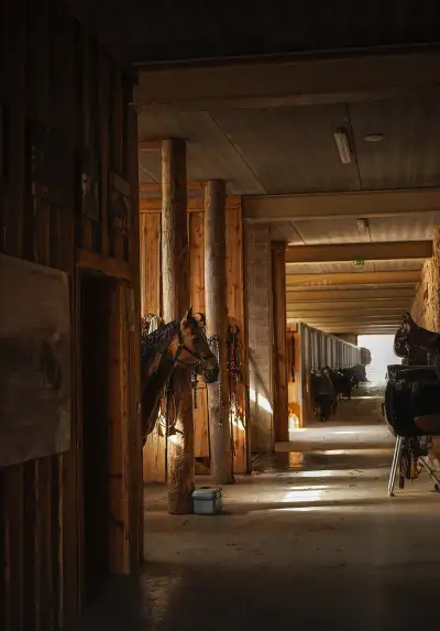 Ustajnenie Ranch 13