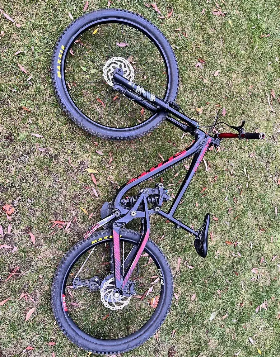 Scott gambler L 2017