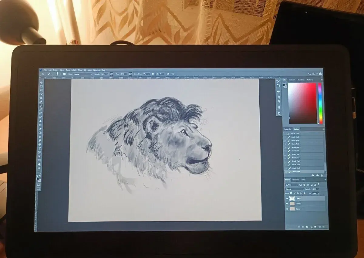 Wacom Cintiq 22 + Wacom Ergotron LX Arm