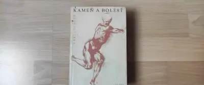 Karel Schulz - Kameň a bolesť (Michelangelo)