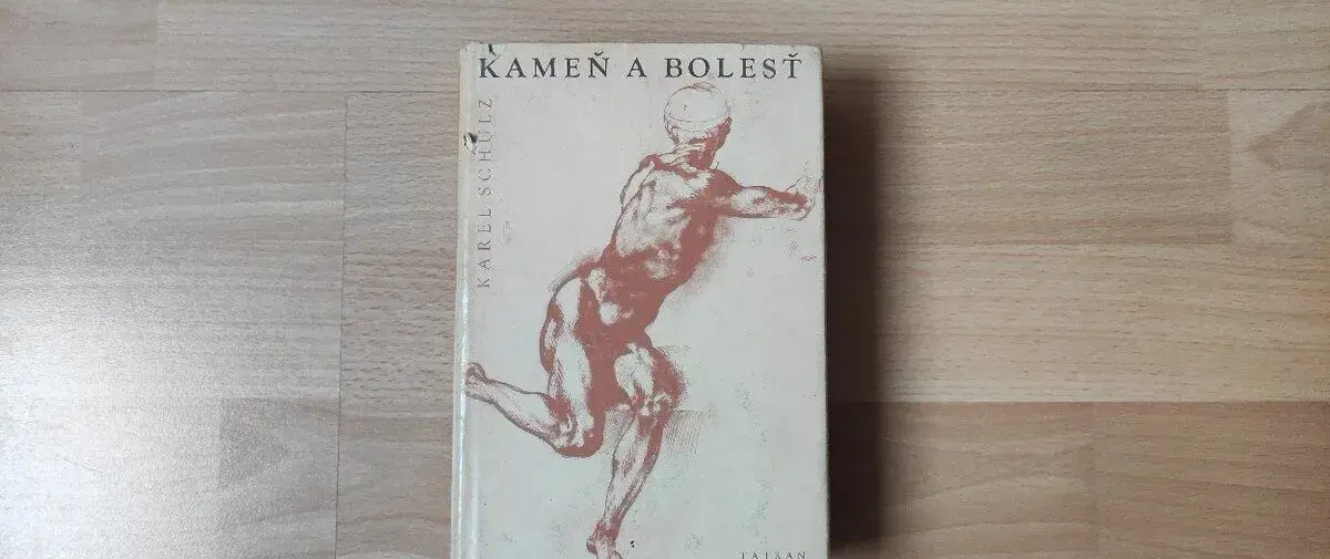 Karel Schulz - Kameň a bolesť (Michelangelo)