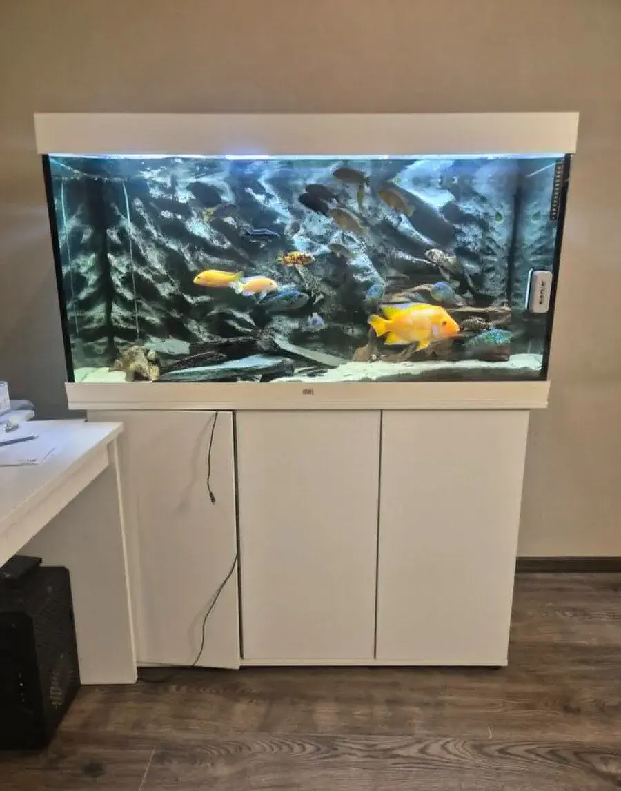 Akvarium JUWEL koplet všetko.