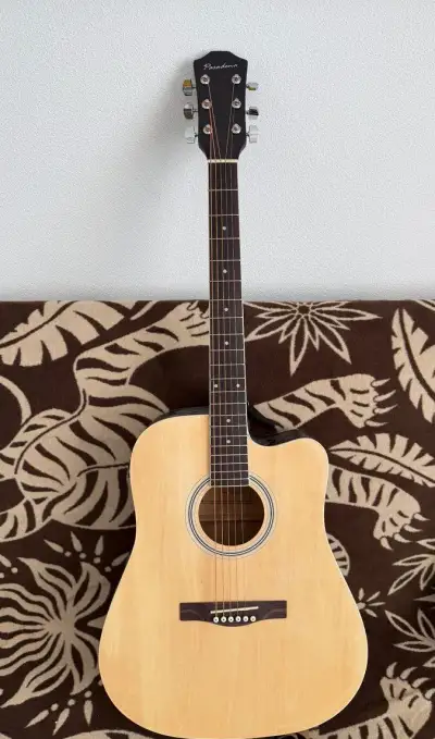Akustická gitara Pasadena SG028CE – ako nová, nevyužitá
