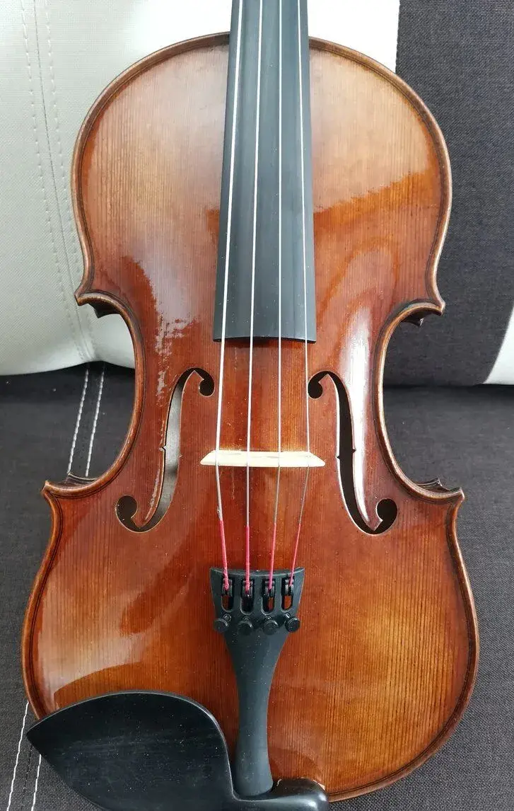 Viola 15" (38 cm) s púzdrom a slákom