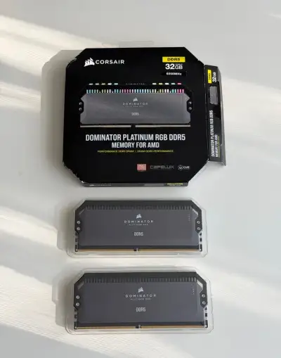 32GB DDR5 (2x16GB) Corsair Dominator Platinum 6000 CL30 RGB