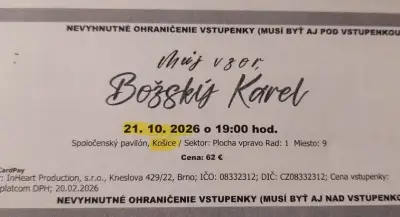 Vzor Božský Karel