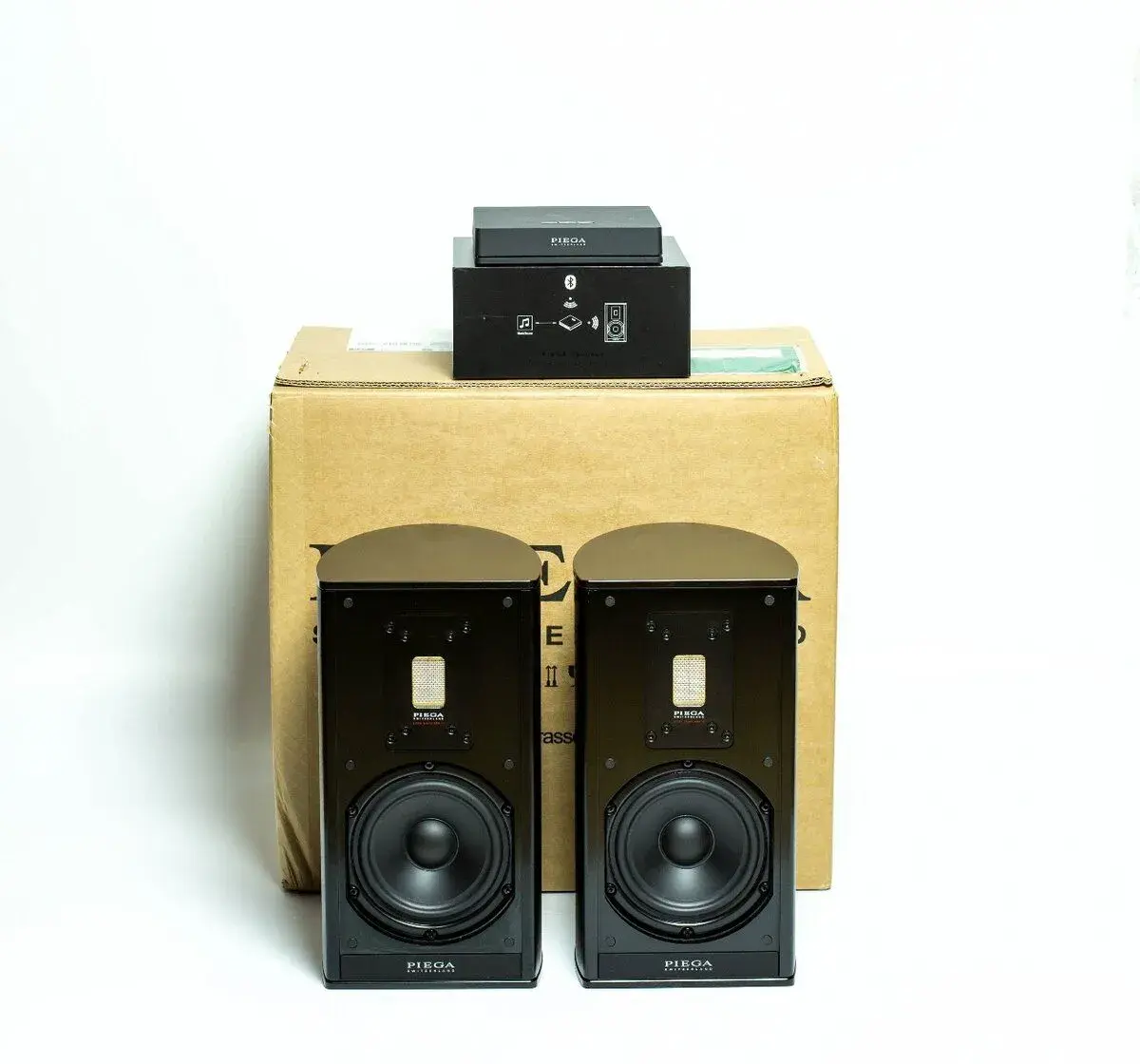 Piega Premium Wireless 301
