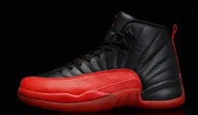 Air Jordan retro 12 flu game