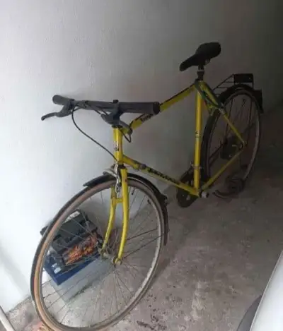 Bicykel FAVORIT