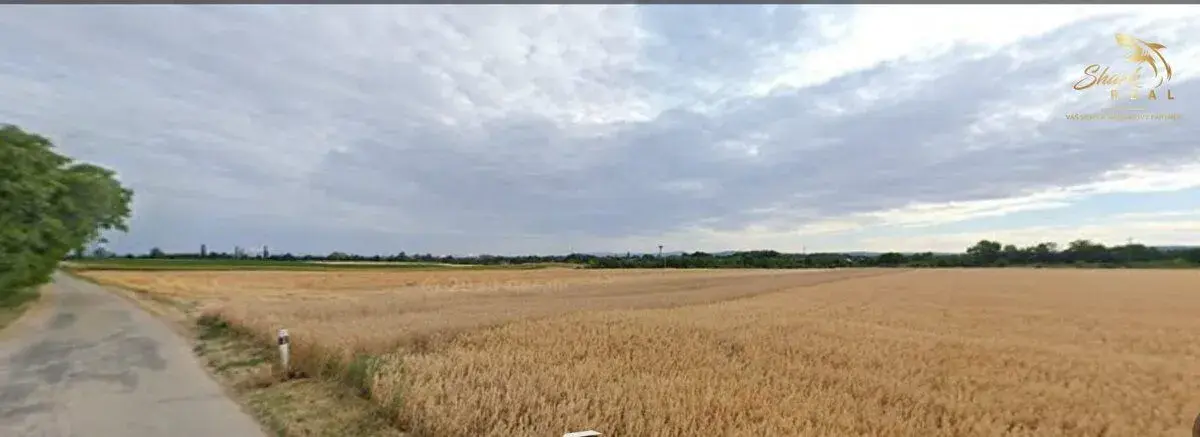Predaj pozemku - záhrada v Bučanoch