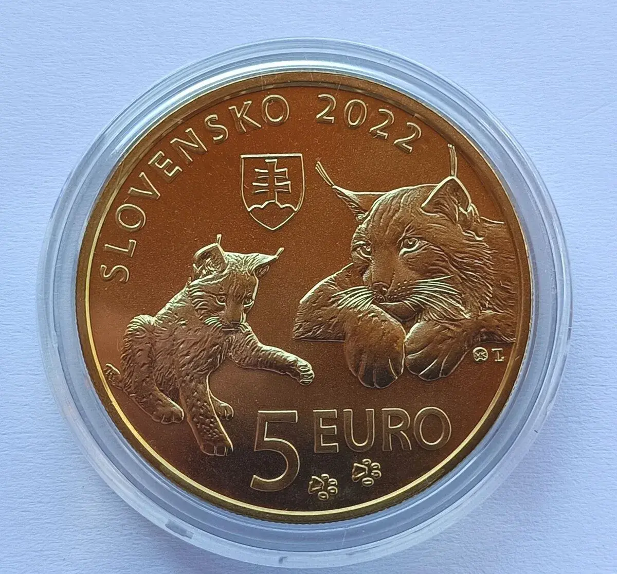Fauna a flóra na Slovensku - Rys ostrovid (2022)