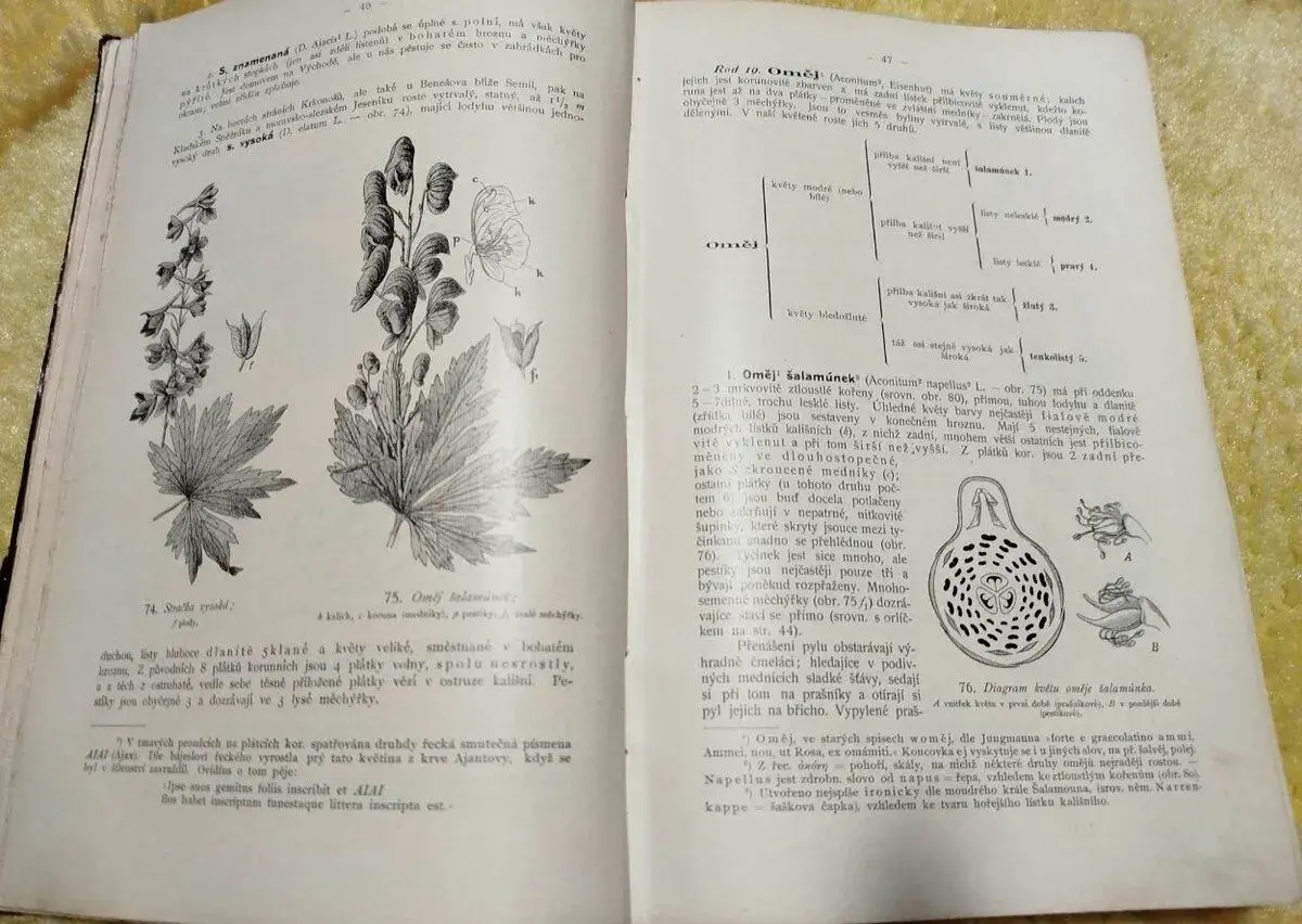 126 ročný HERBÁR--Názorná květena zemí koruny české svazek I