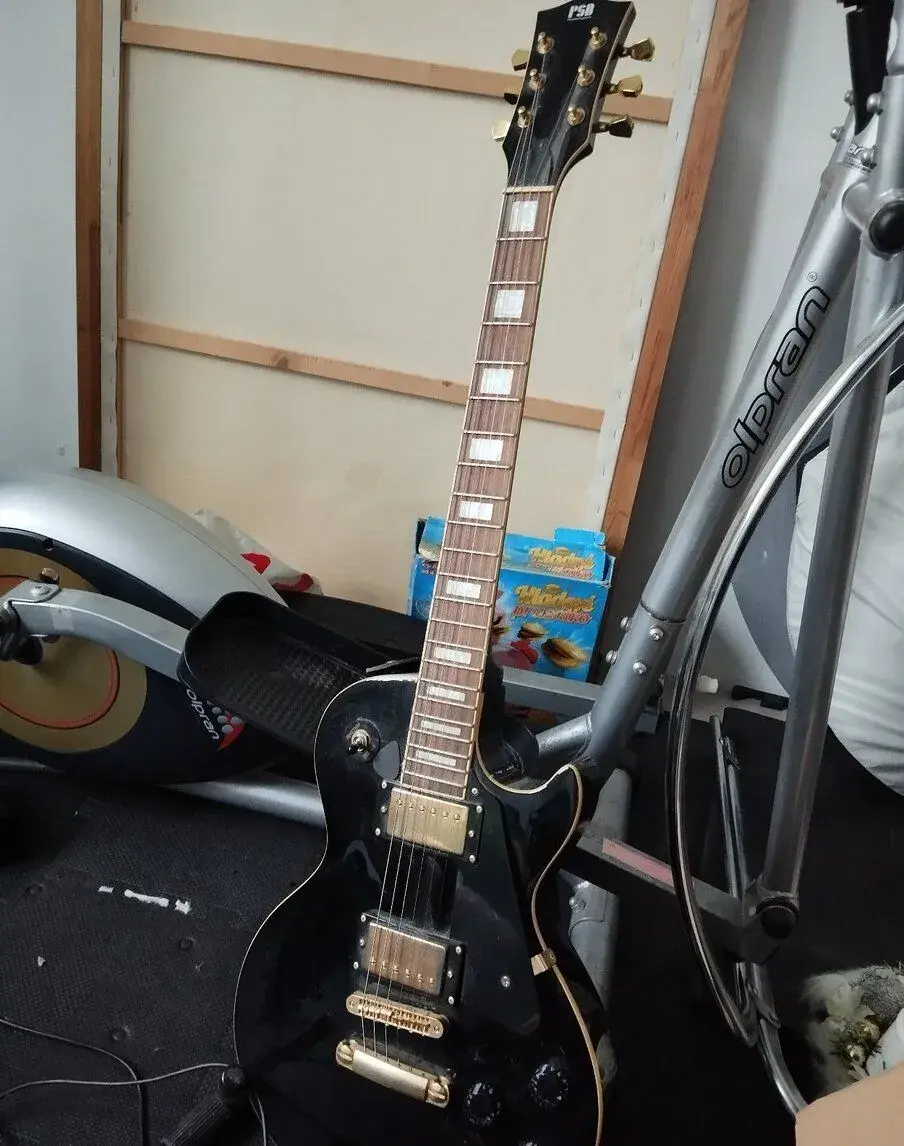 Elektrická gitara PSD