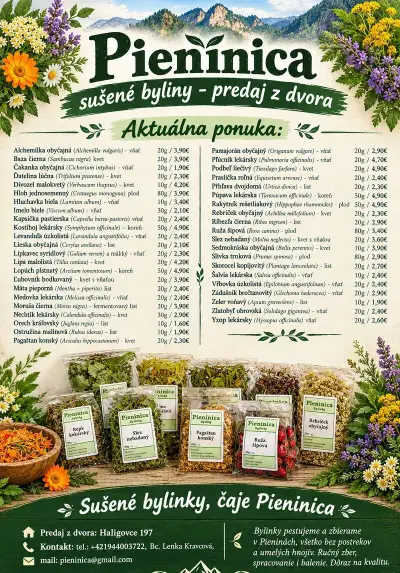 Pieninica sušené byliny - bylinky z Pienin