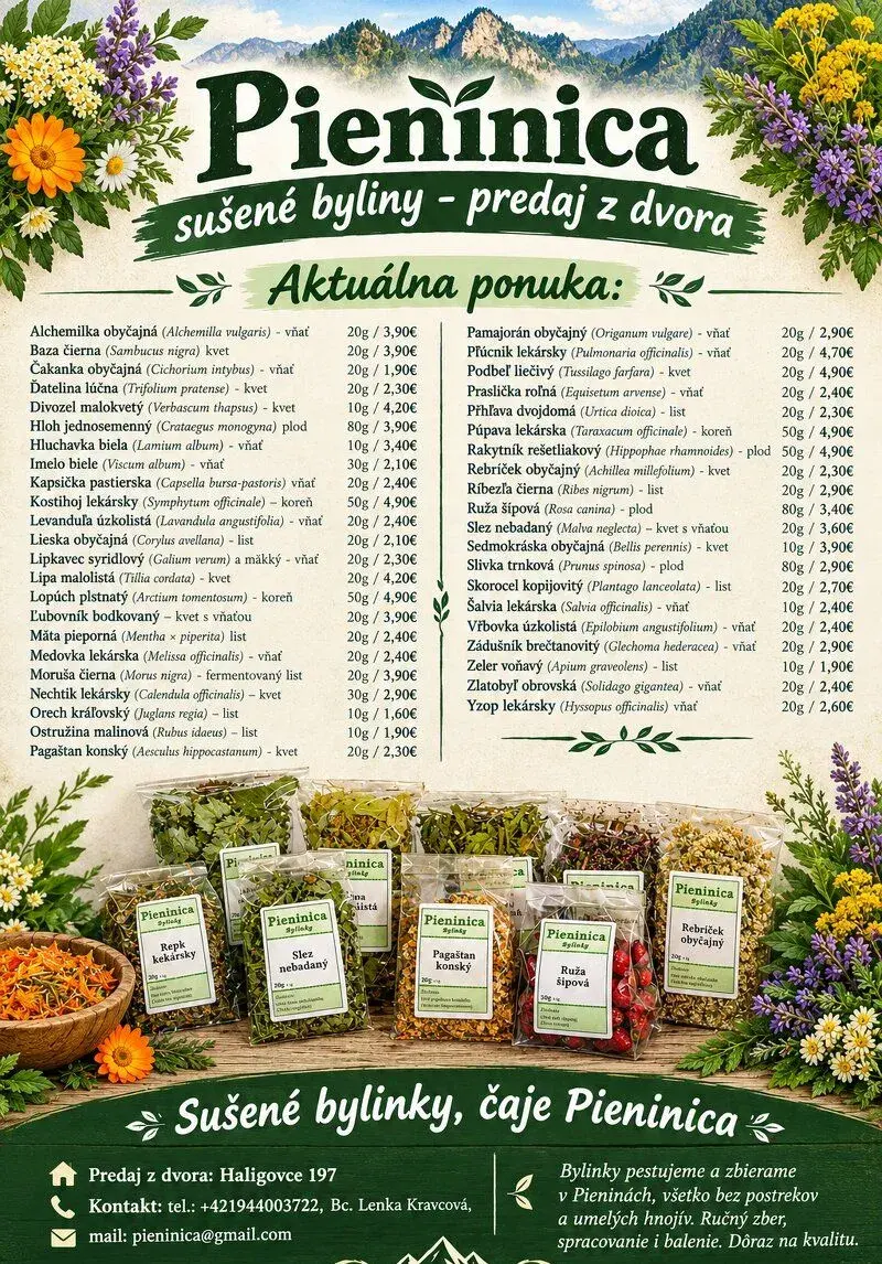 Pieninica sušené byliny - bylinky z Pienin