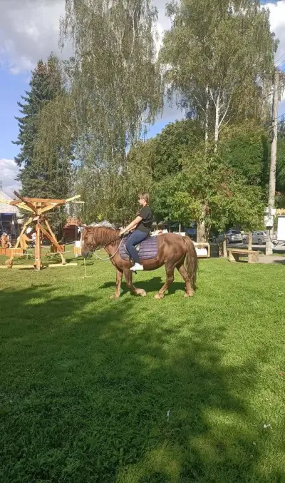 Základy jazdy na koni