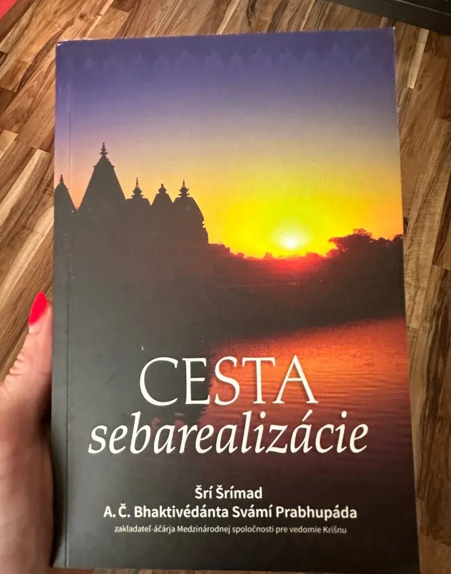 Cesta sebraelizácie