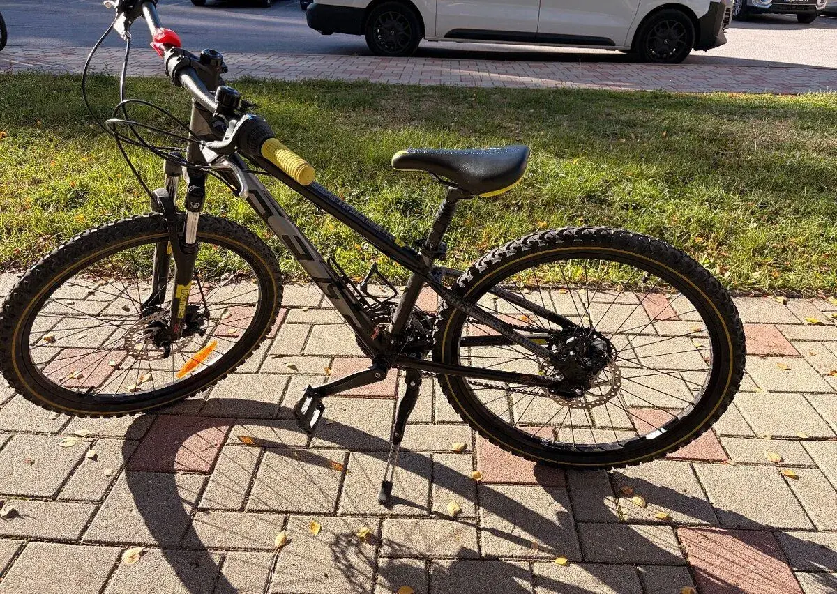 Predqm detsky horsky bike 24