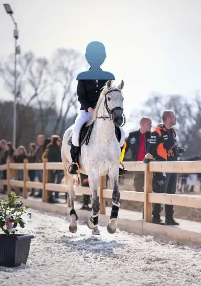 Koňa – valach RAVEN (2012), slovenský teplokrvník