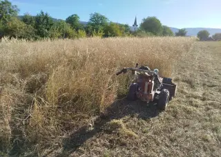 Kosenie a mulčovanie