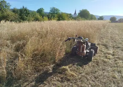 Kosenie a mulčovanie