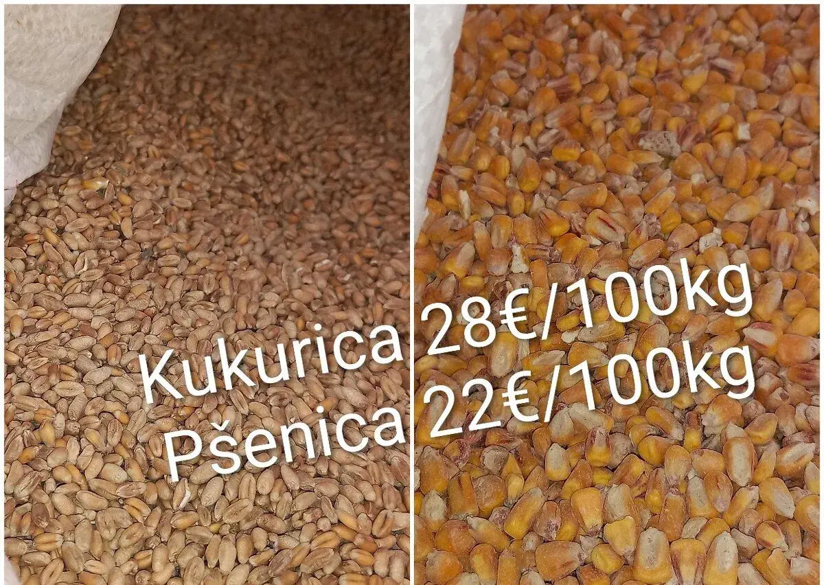 Kukurica 28€ Pšenica 22€