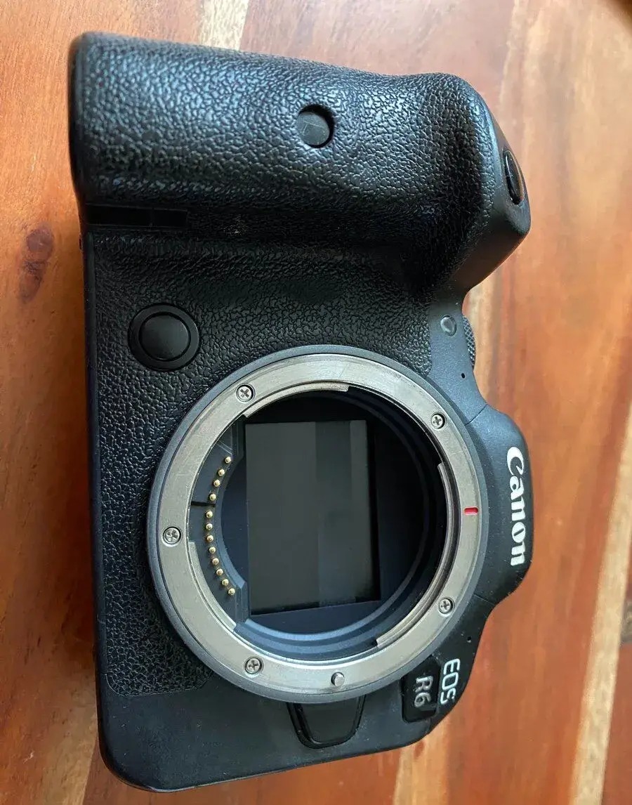 Canon R6