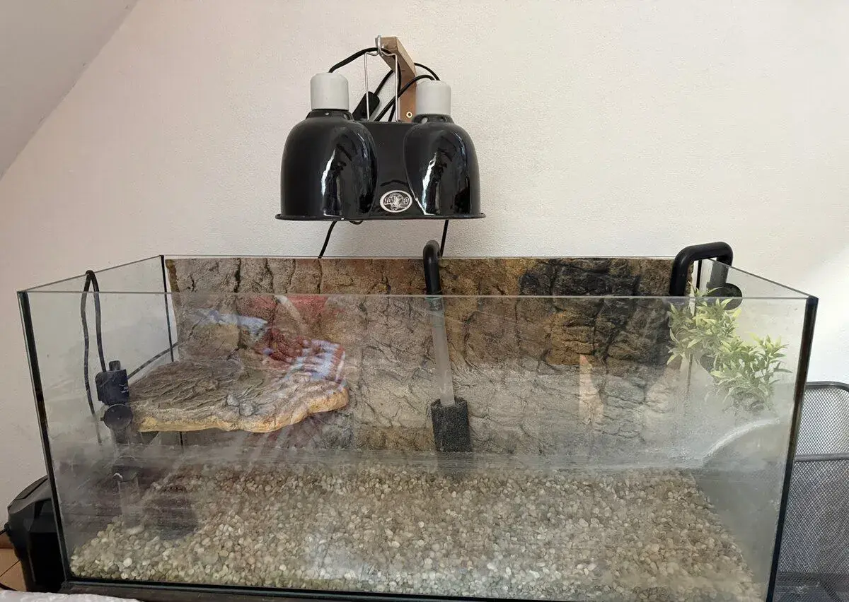Aquarium pre vodne korytnacky