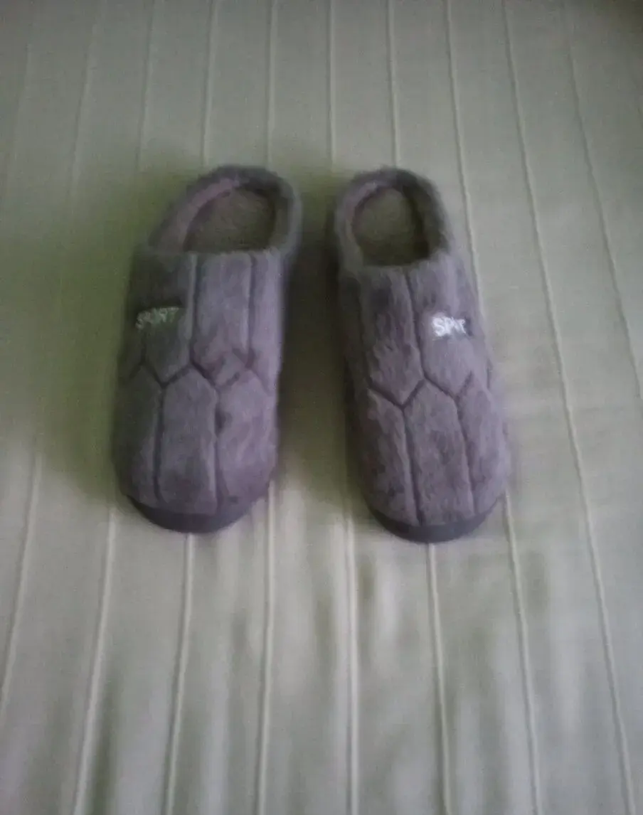 Papuče