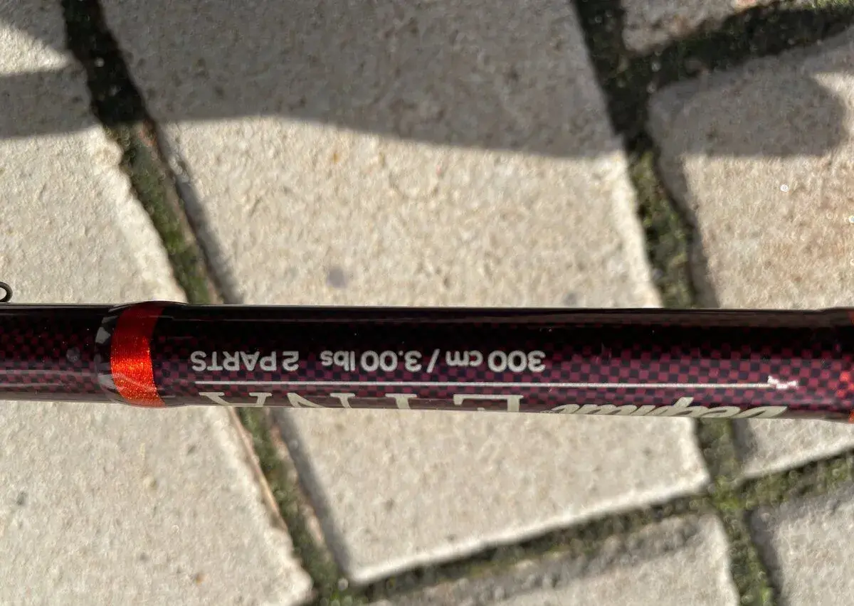 Udice Delphin Etna 2 dielne 3m/3lb