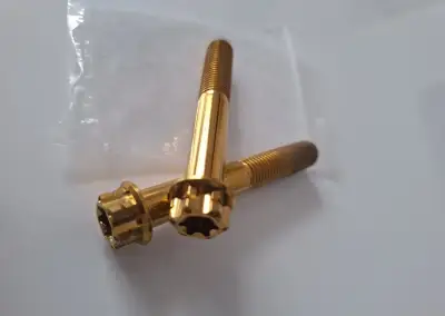 Titanové skrutky M10x65