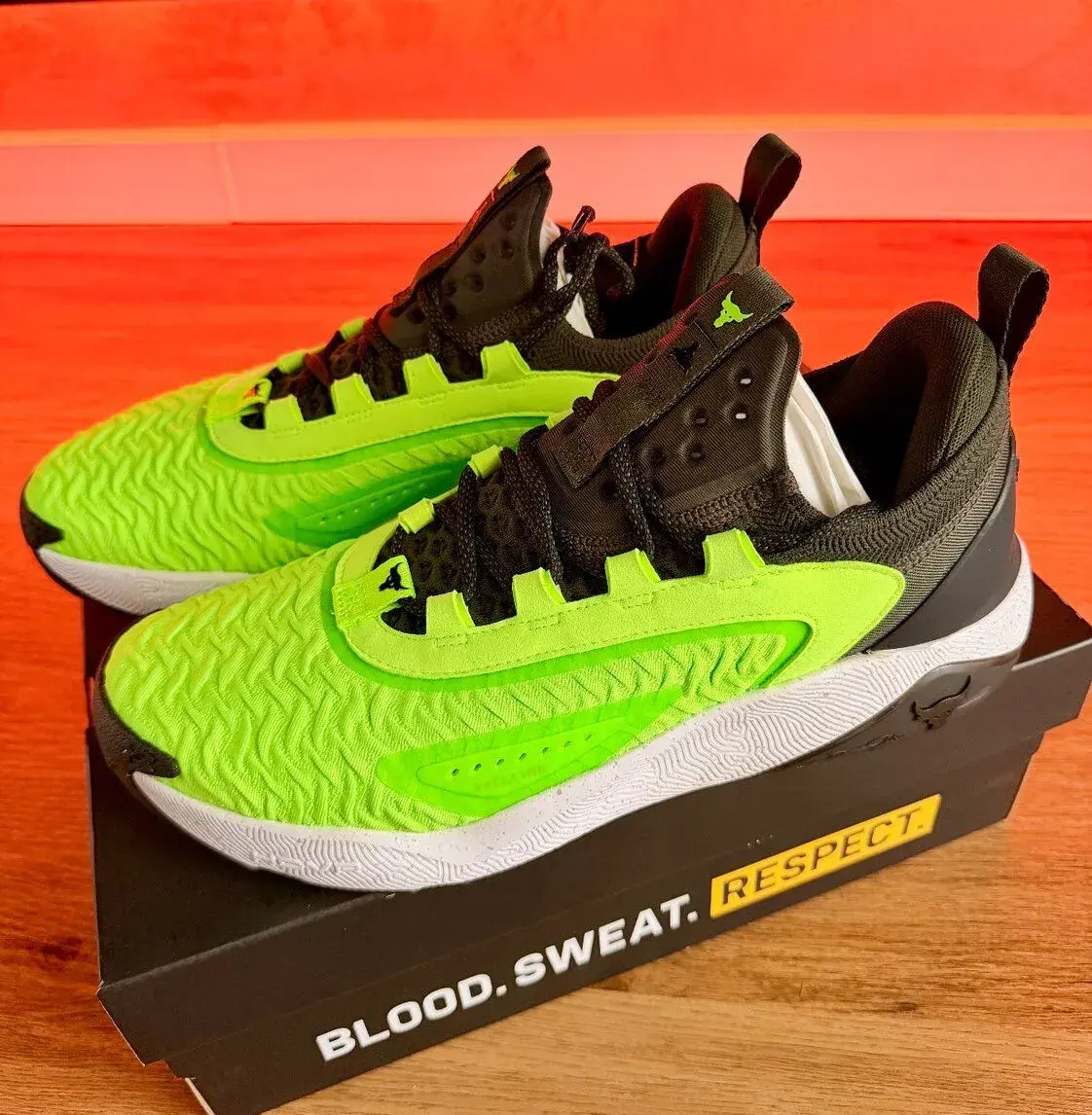 Panske treningove topanky Under Armour Project Rock 7