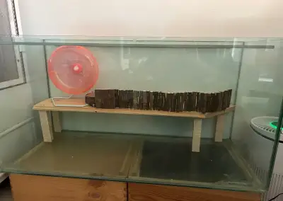 Akvárium / klietka pre škrečka